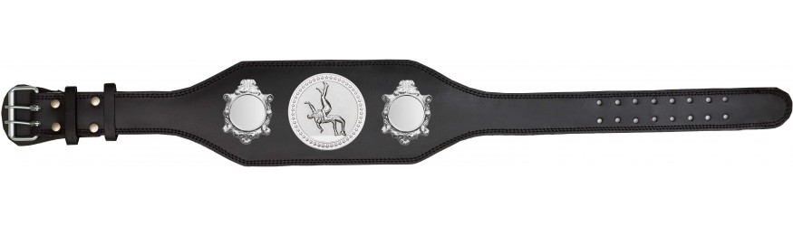 WRESTLING CHAMPIONSHIP BELT-BUD003/S/WRESTS-4 COLOURS